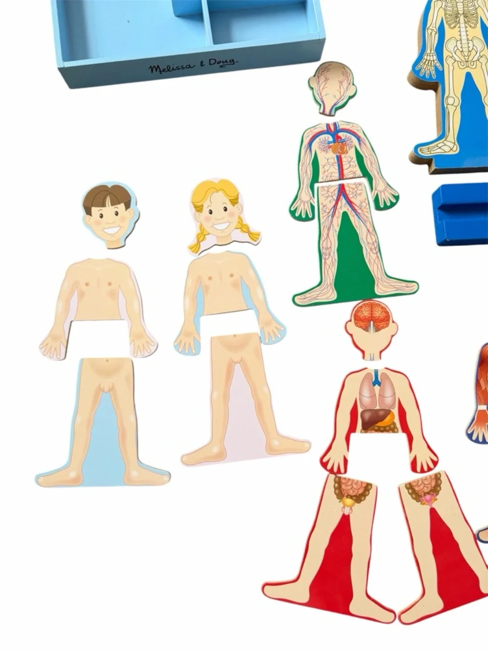 Melissa & Doug Magnetic Human Body Anatomy Play Set with 24 pcs and Storage Tray